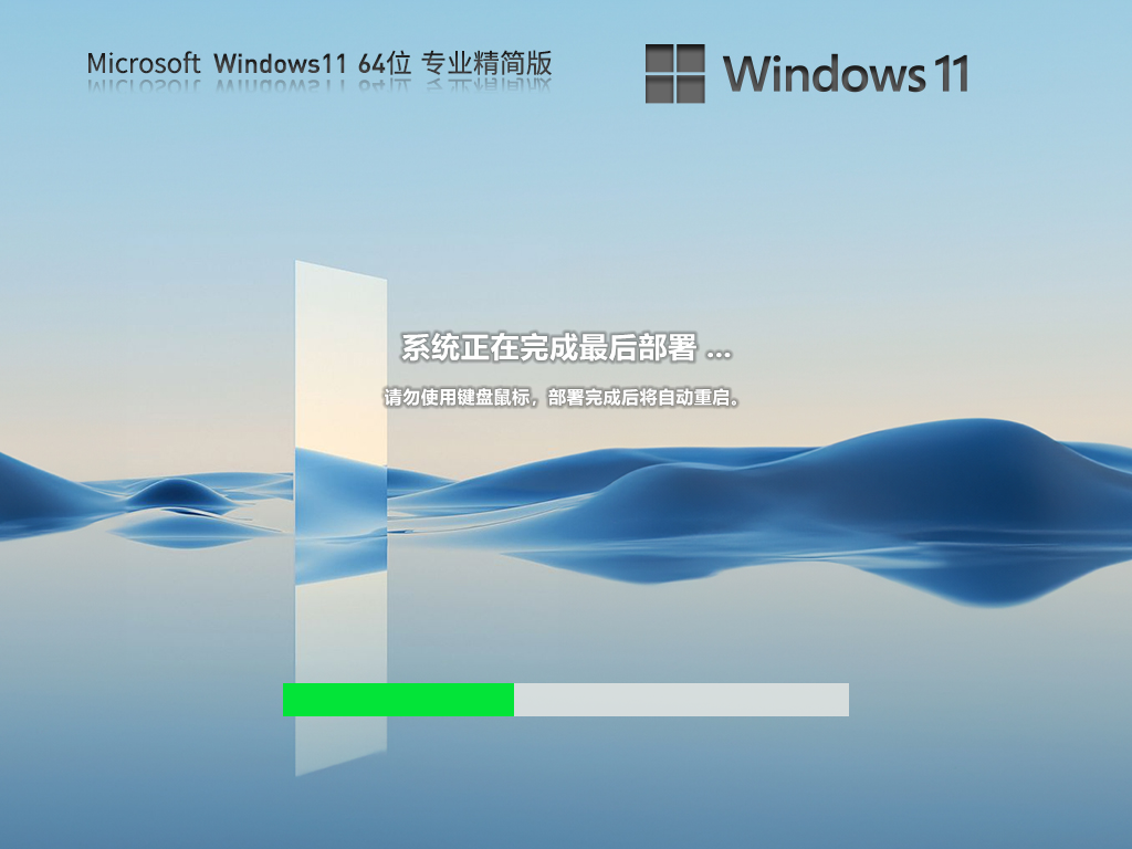 Windows11 22H2 64位 专业精简版 V2023.08