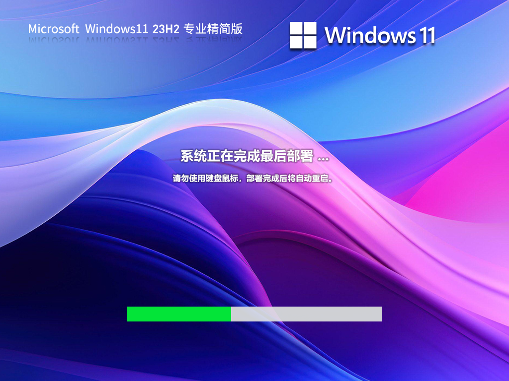 【适量精简】Windows11 23H2 64位 专业精简版