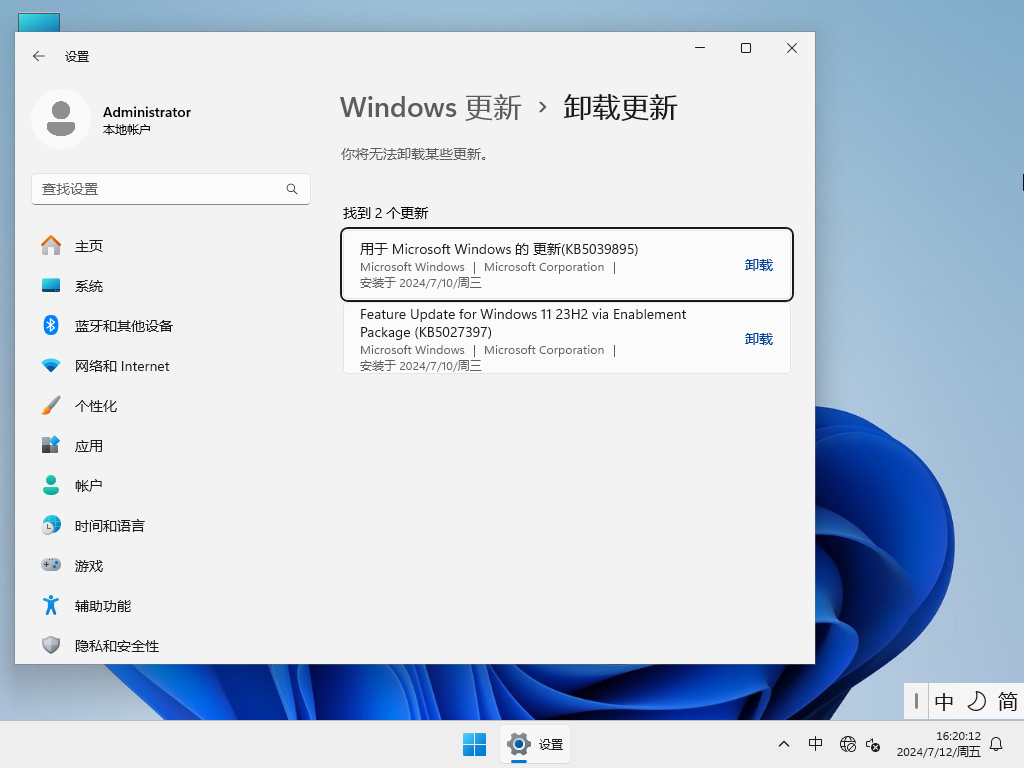 【系统之家】Windows11 23H2 64位 专业工作站版
